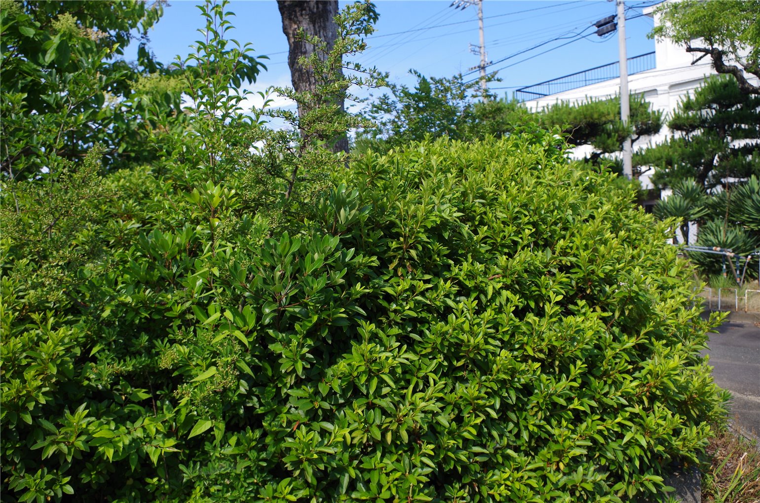 03_4の画像