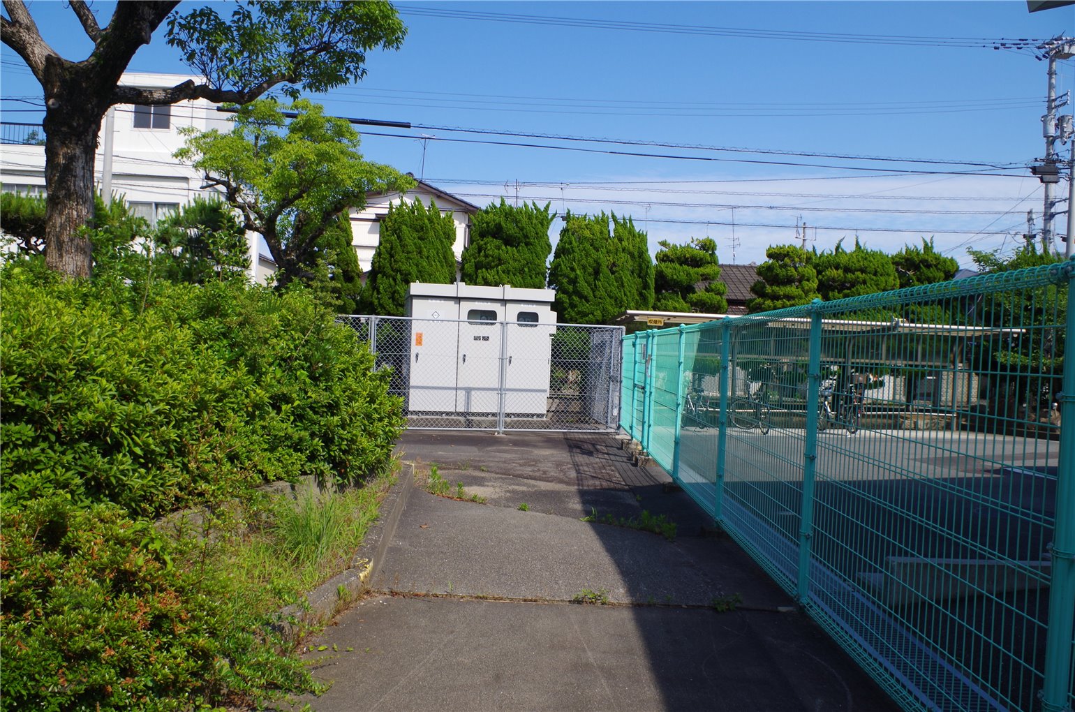 05_5の画像