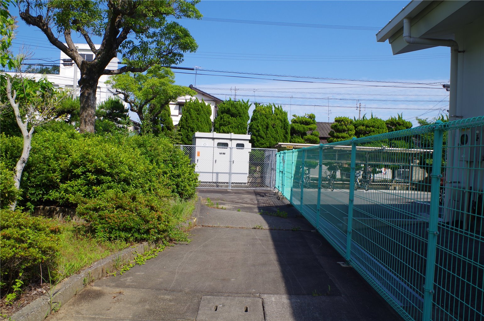 06_5の画像