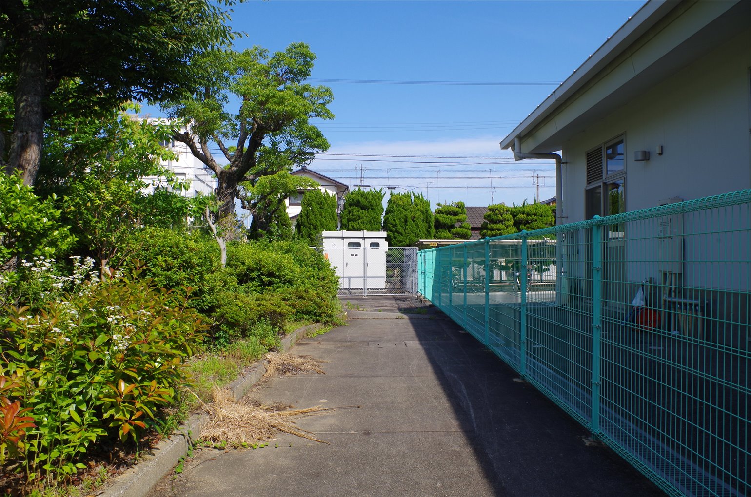 08_5の画像