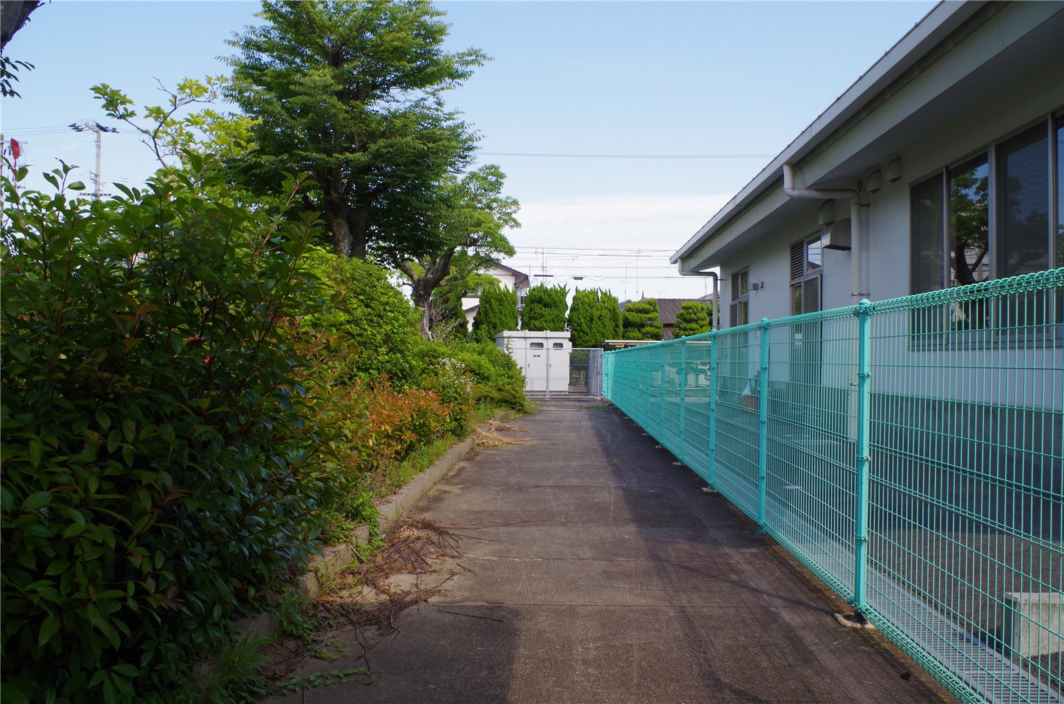 11_5の画像