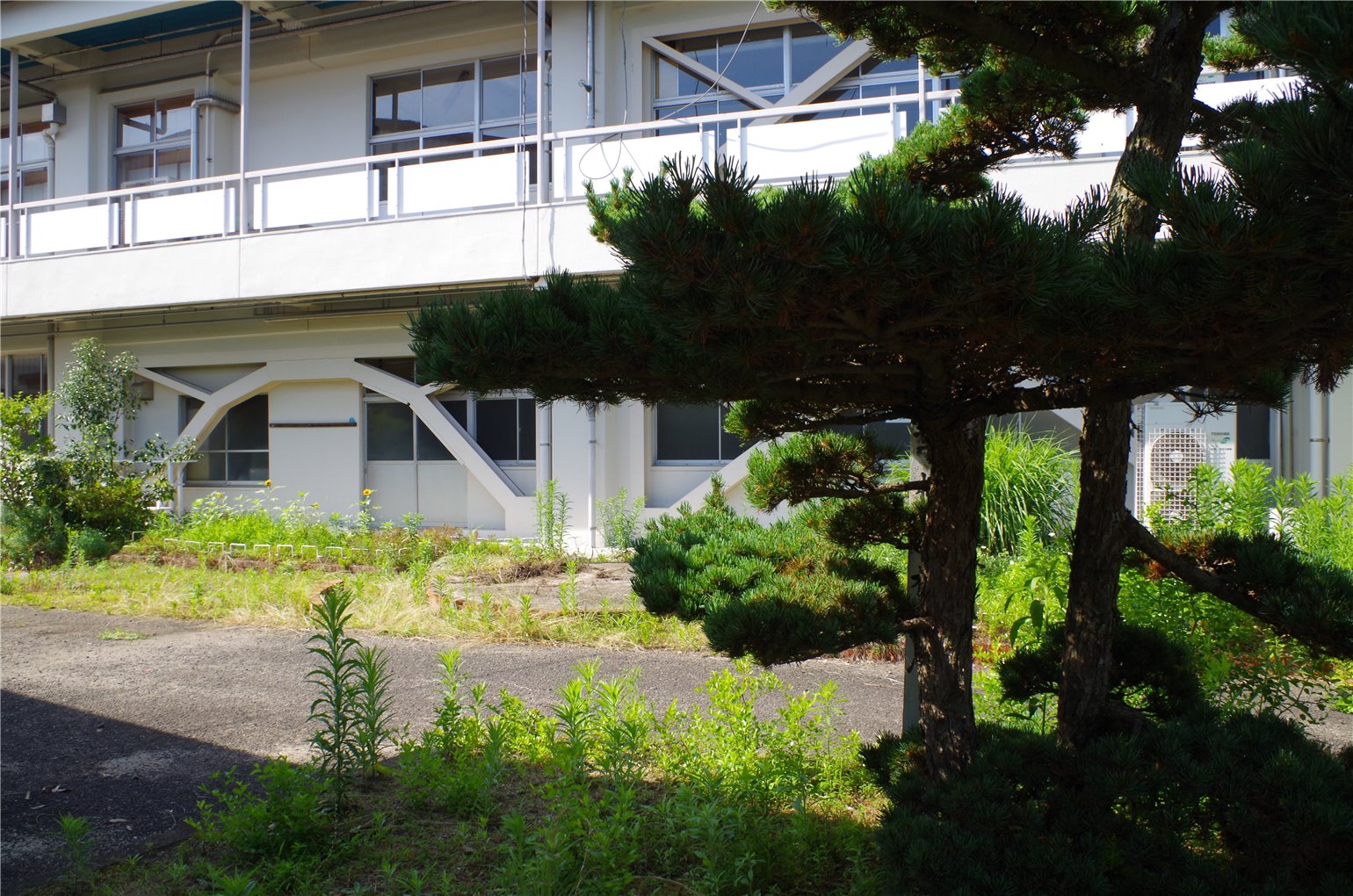 13_3の画像