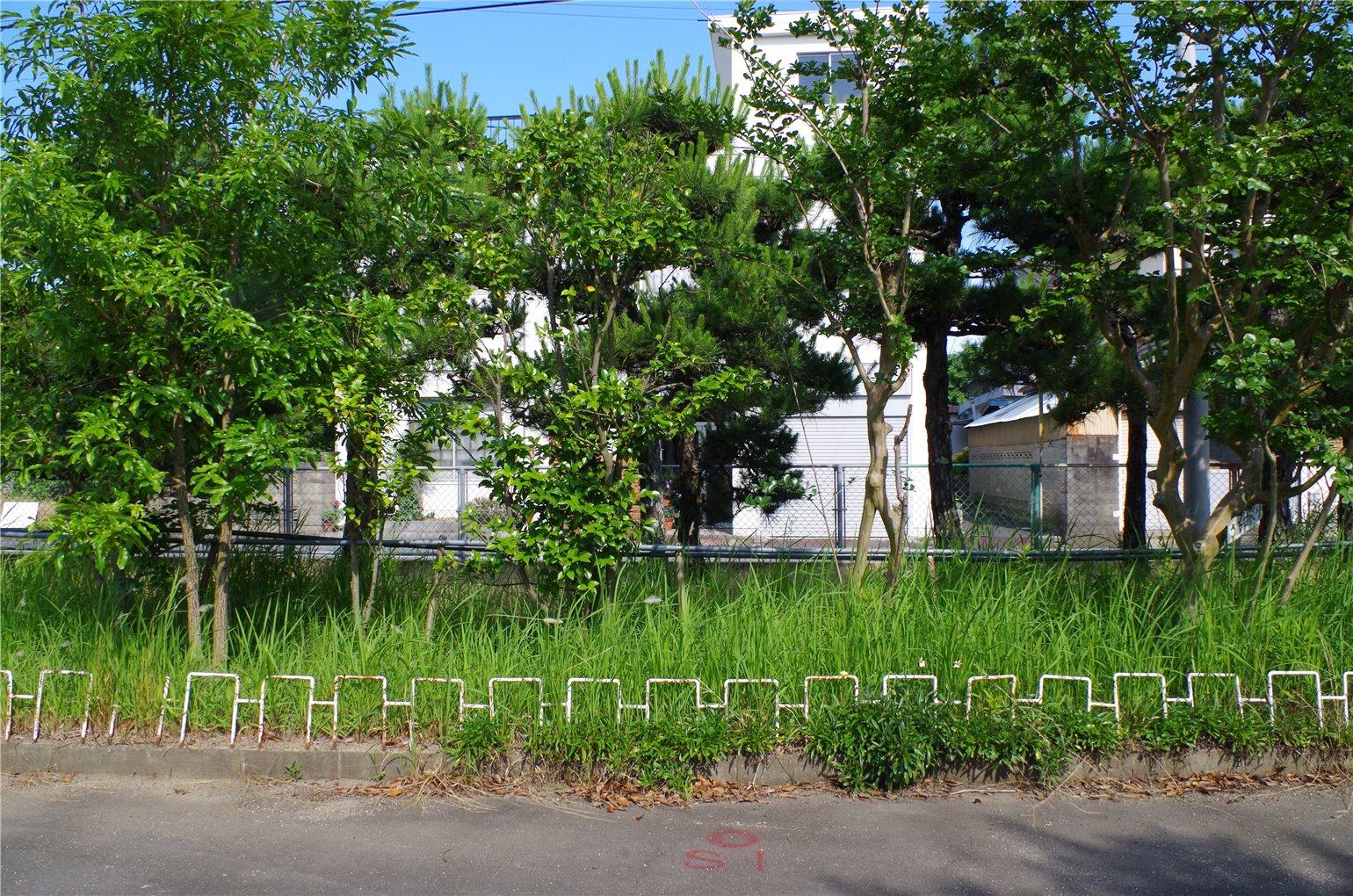 02_5の画像