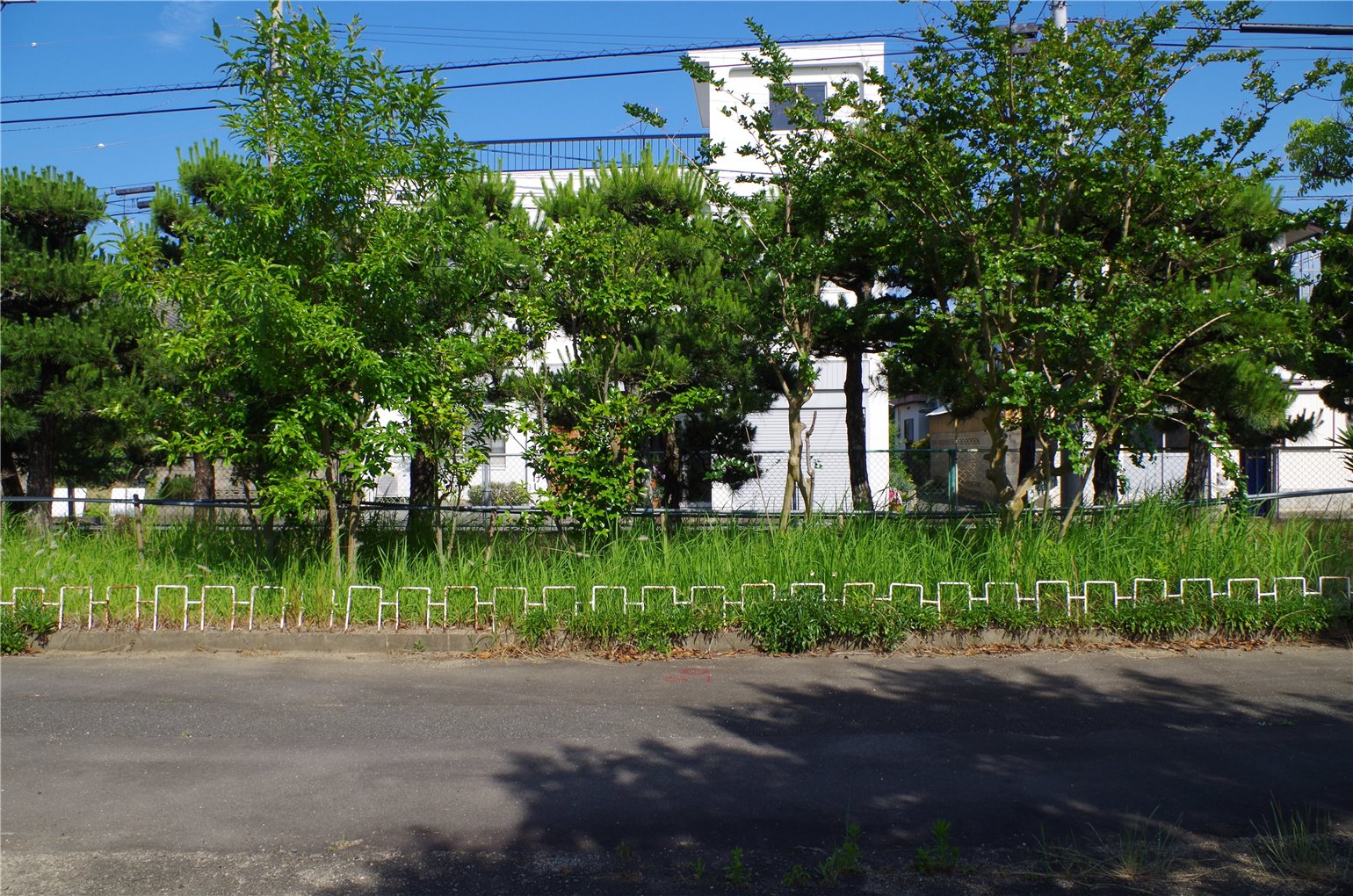 03_5の画像