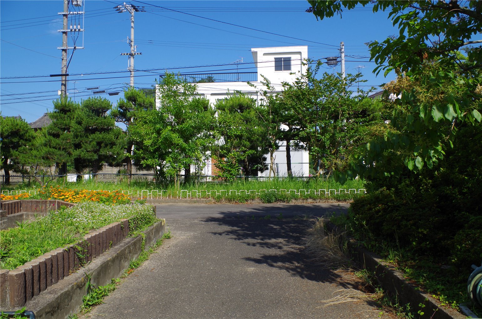 05_5の画像