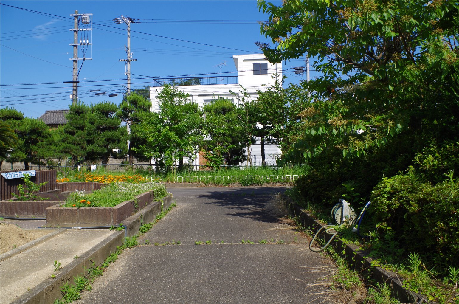 06_5の画像