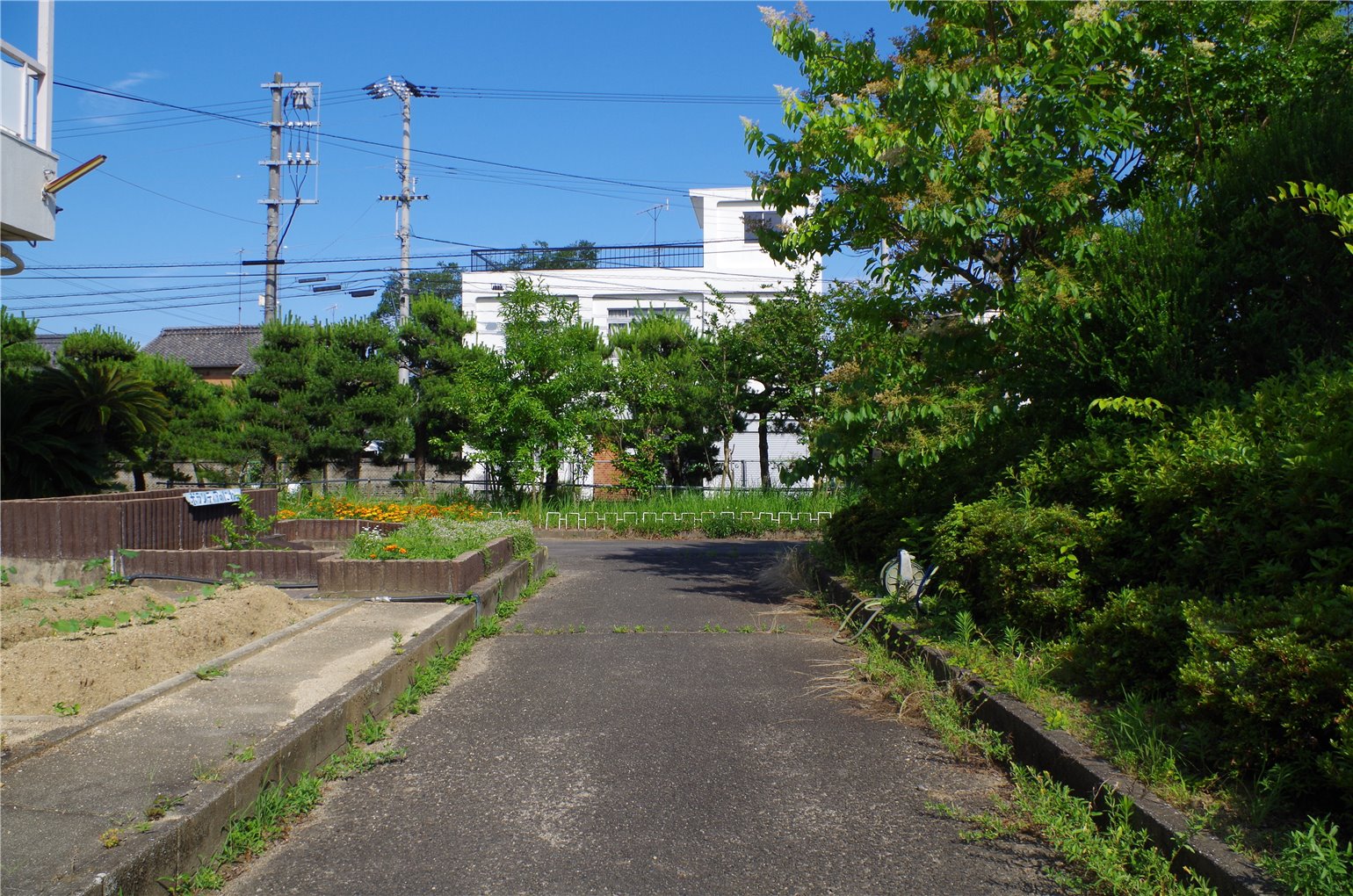 07_5の画像