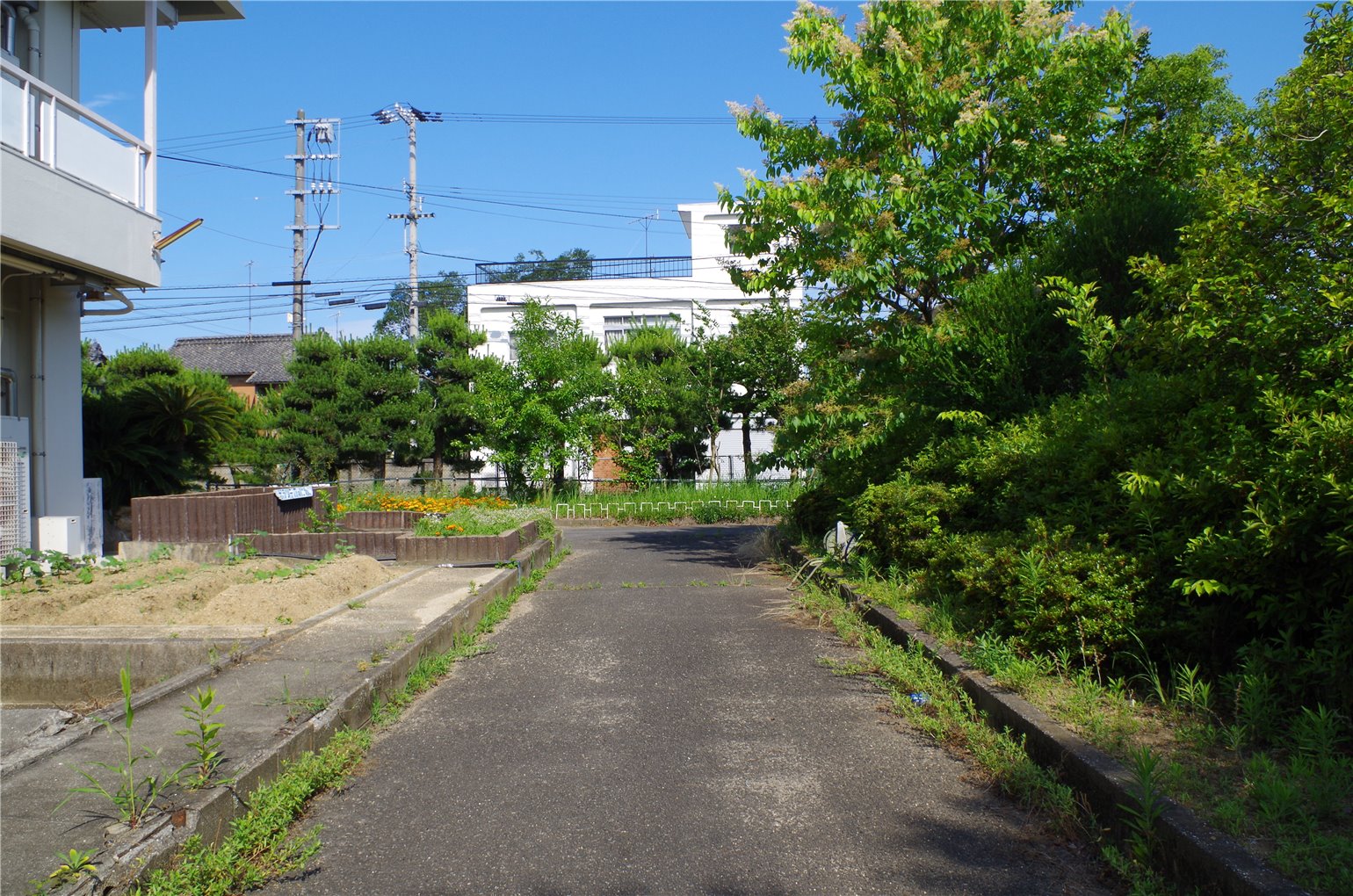 08_5の画像