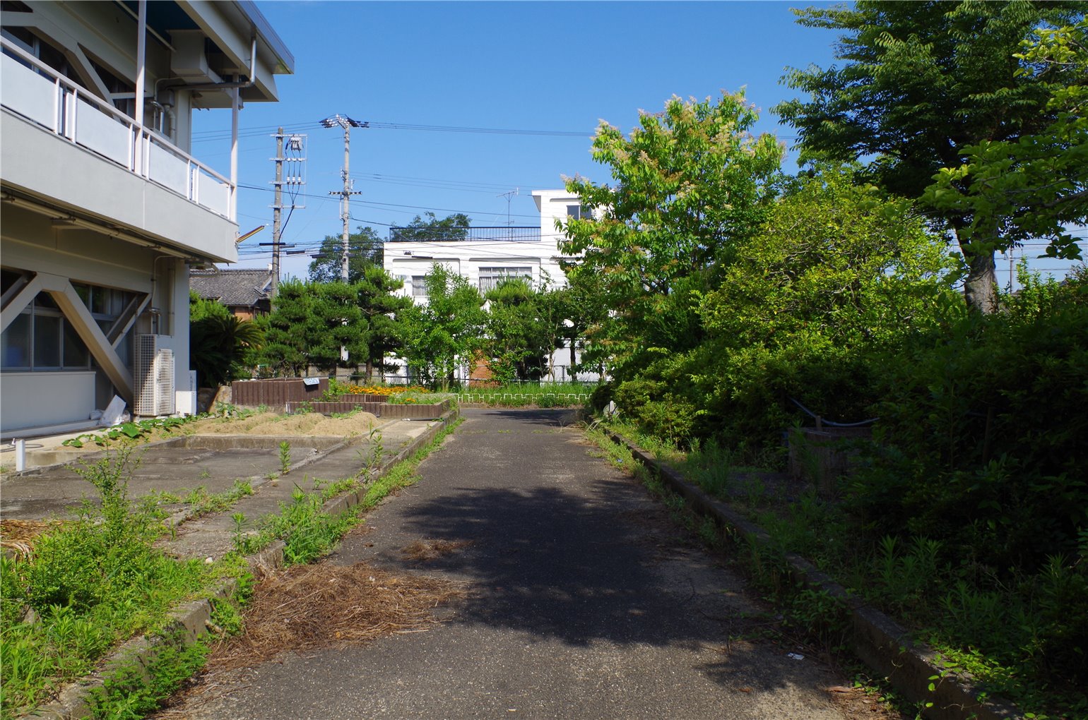 10_5の画像