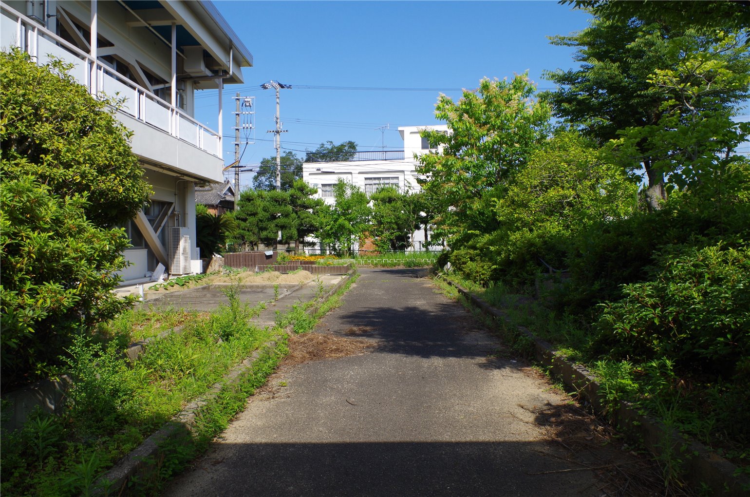 11_5の画像