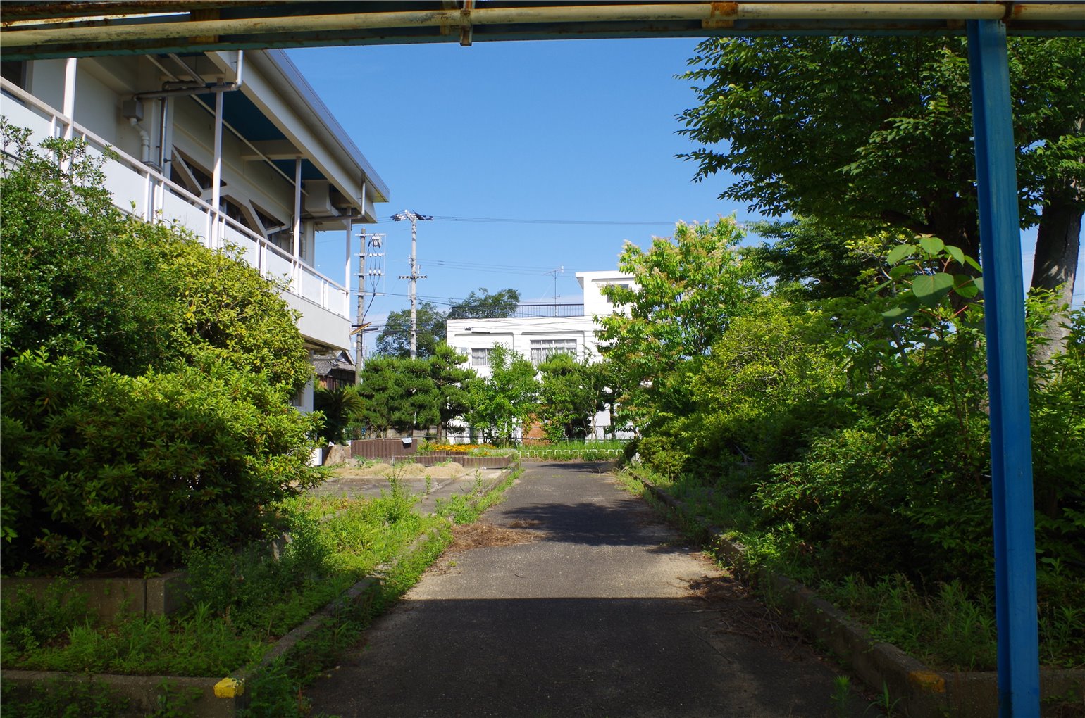 12_5の画像