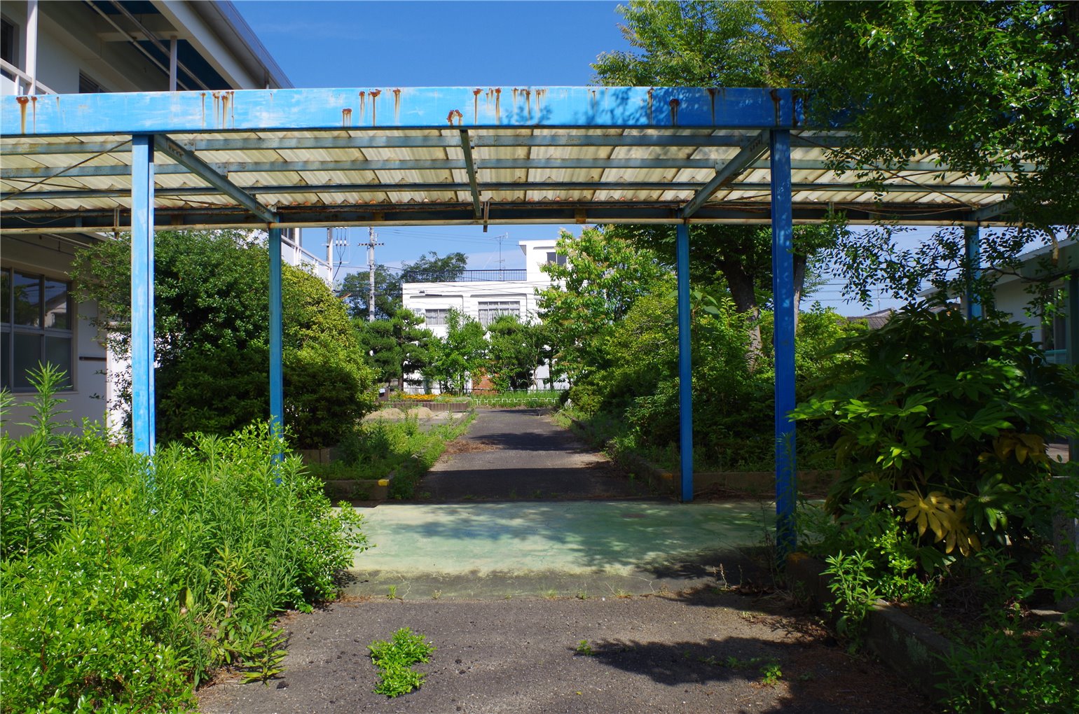 14_5の画像