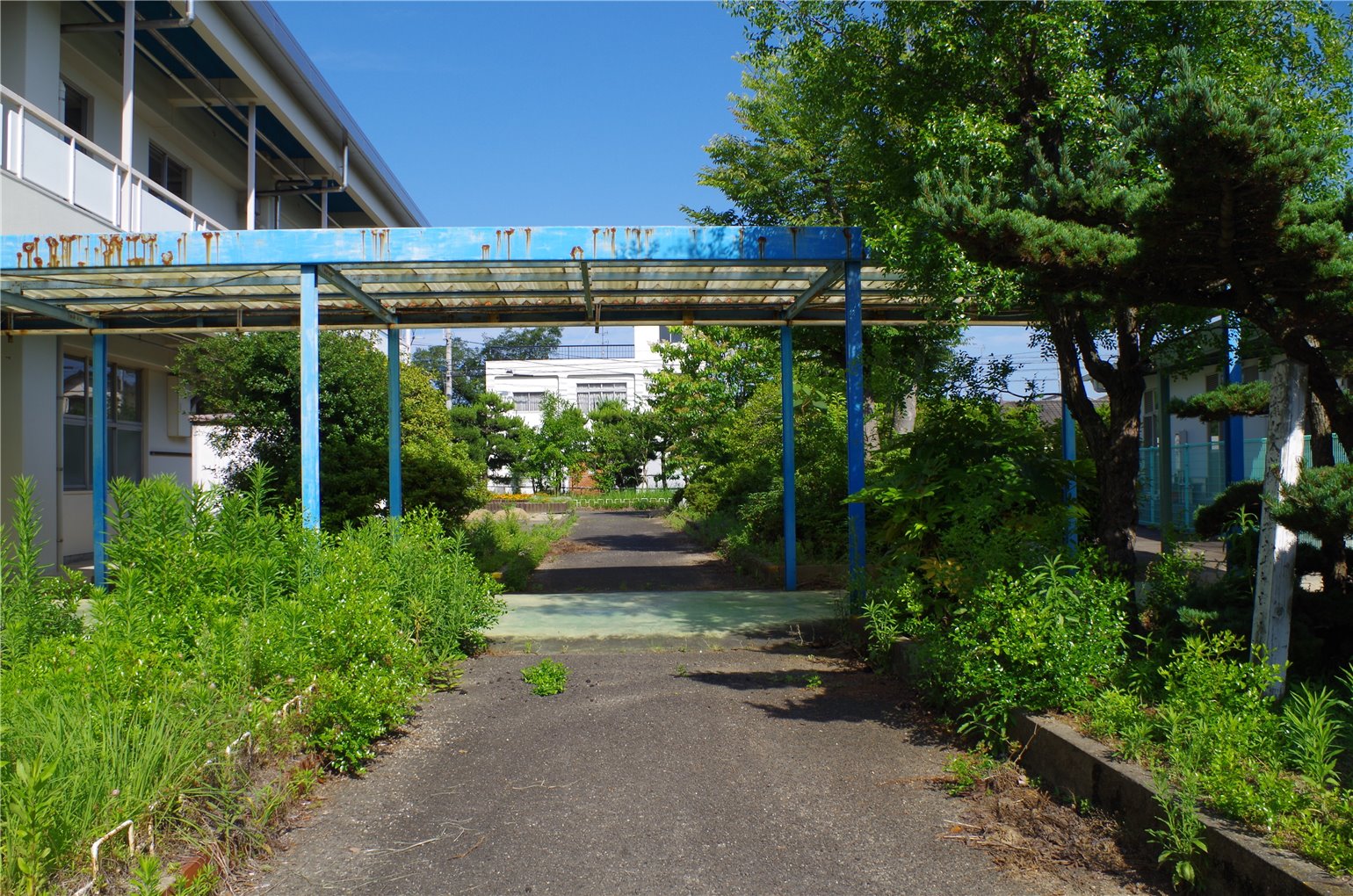 15_5の画像
