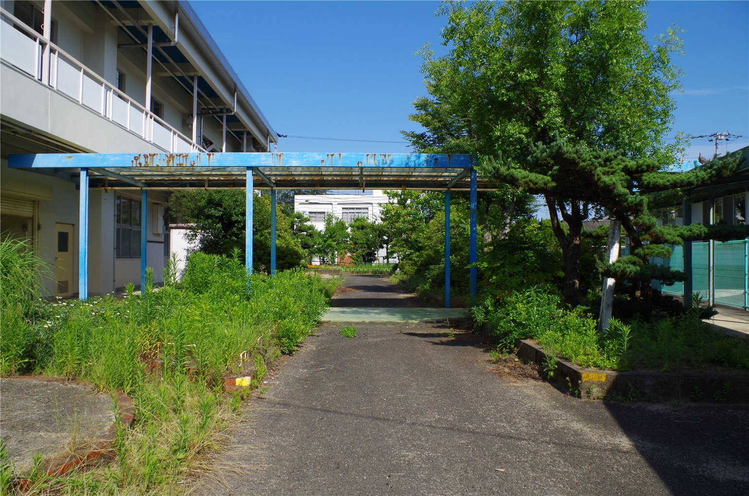 16_5の画像