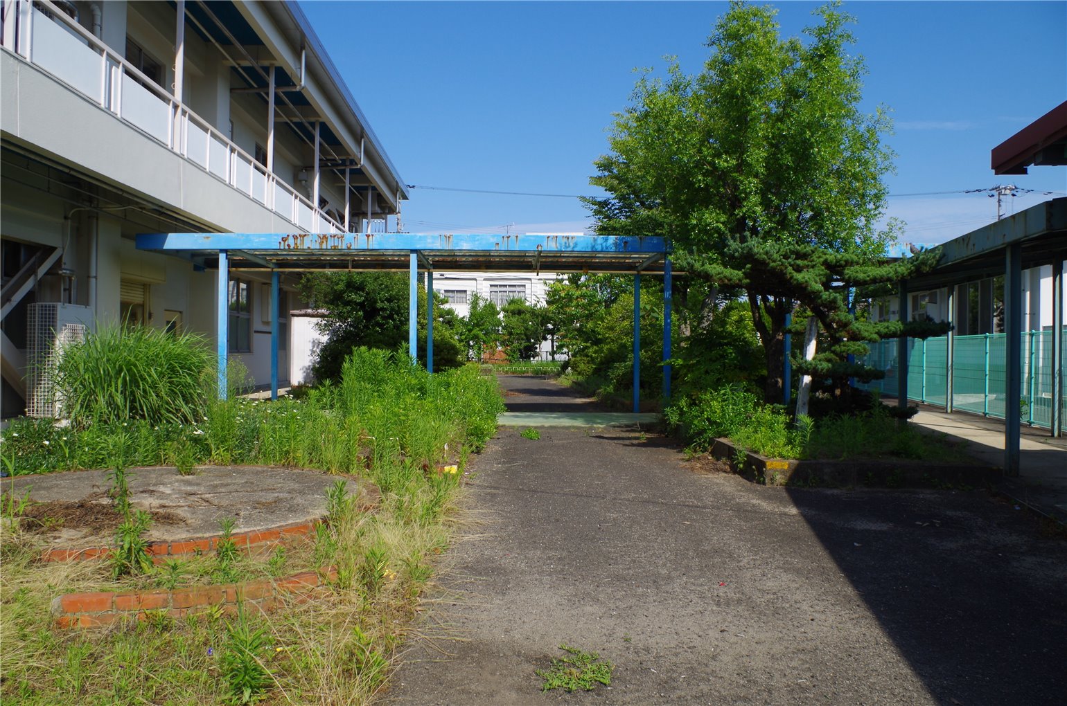 17_5の画像