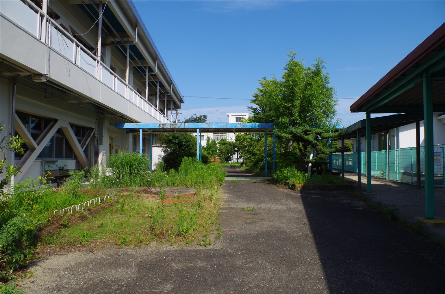 19_5の画像