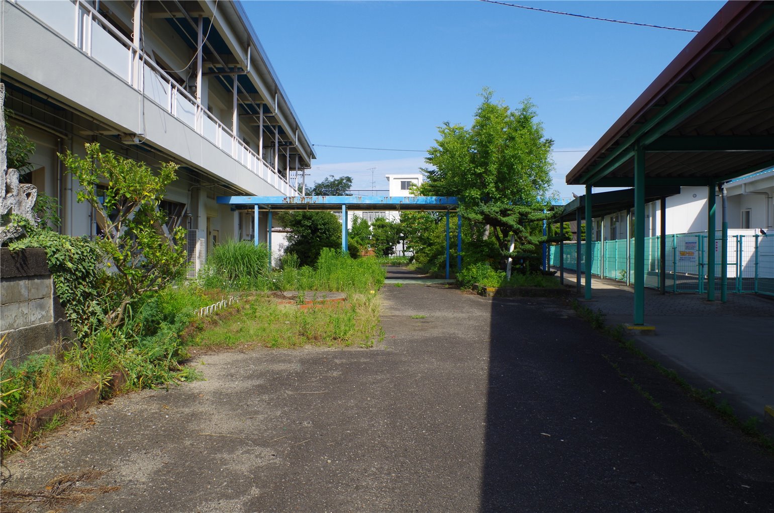 20_5の画像