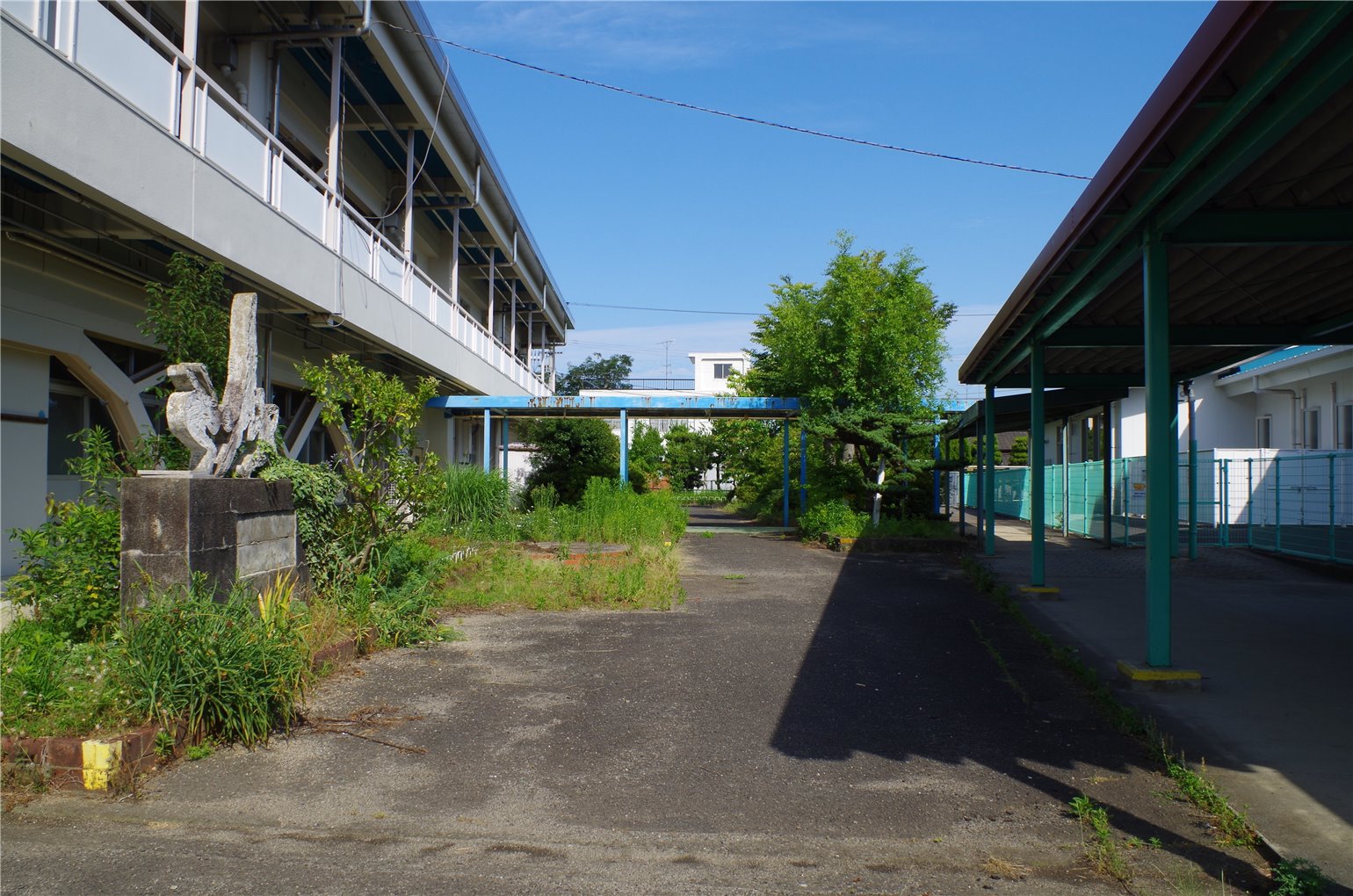21_5の画像