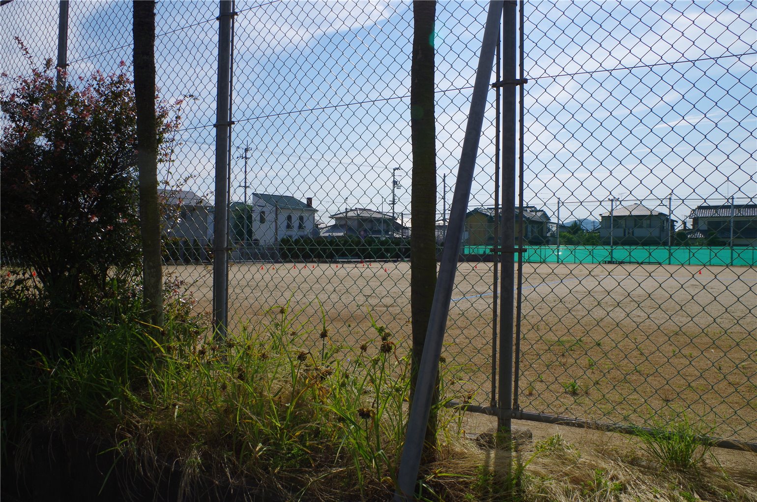 03_6の画像