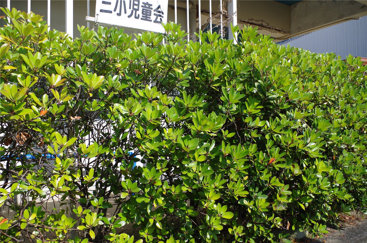 04_4の画像