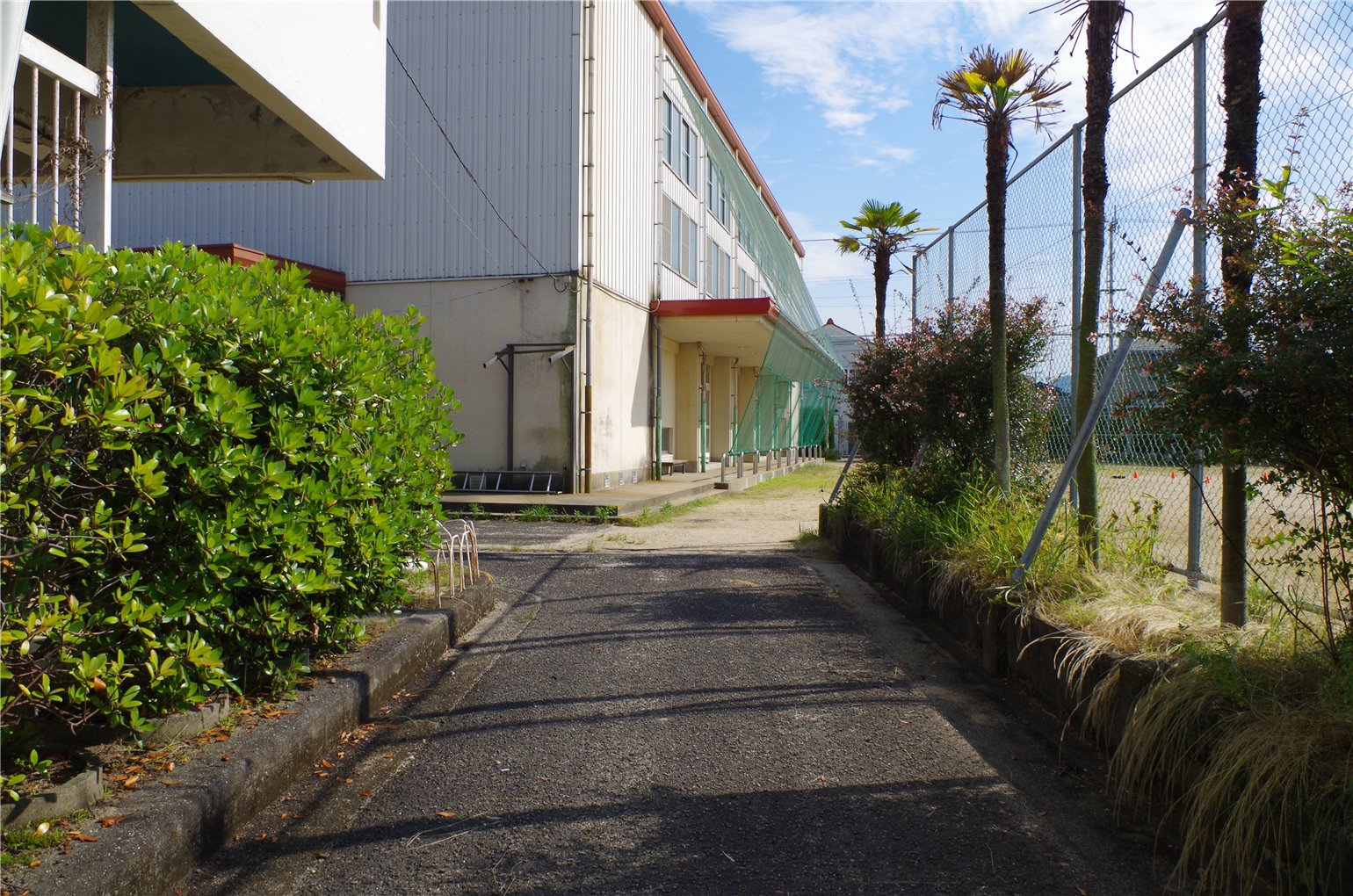 05_5の画像
