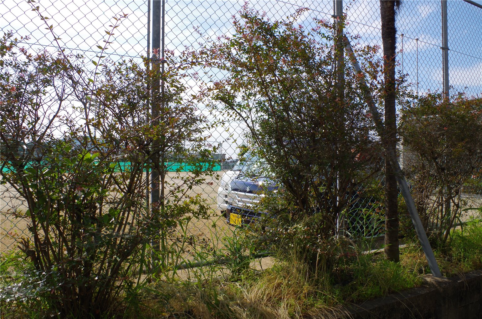 06_1の画像