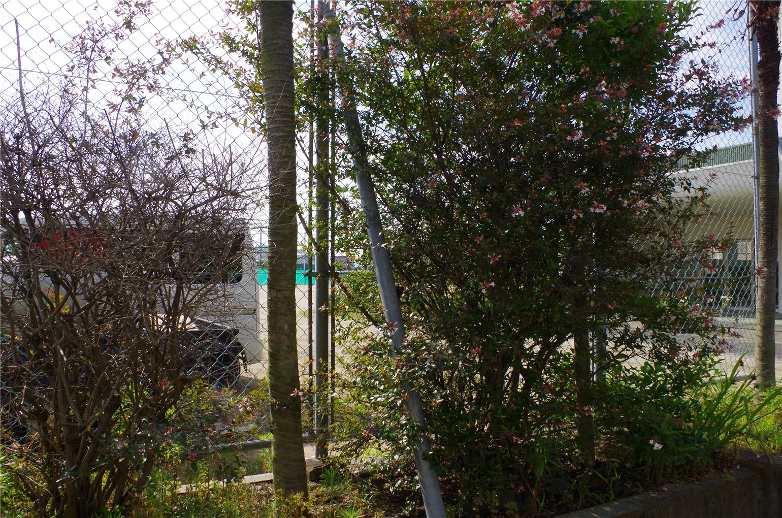 08_1の画像