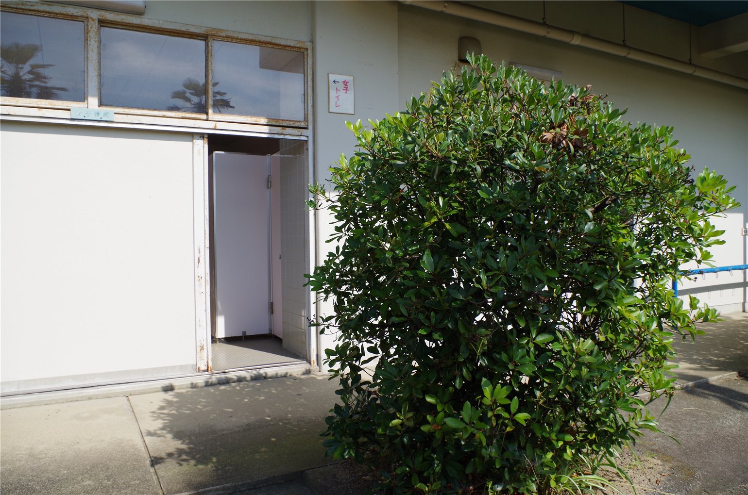08_4の画像