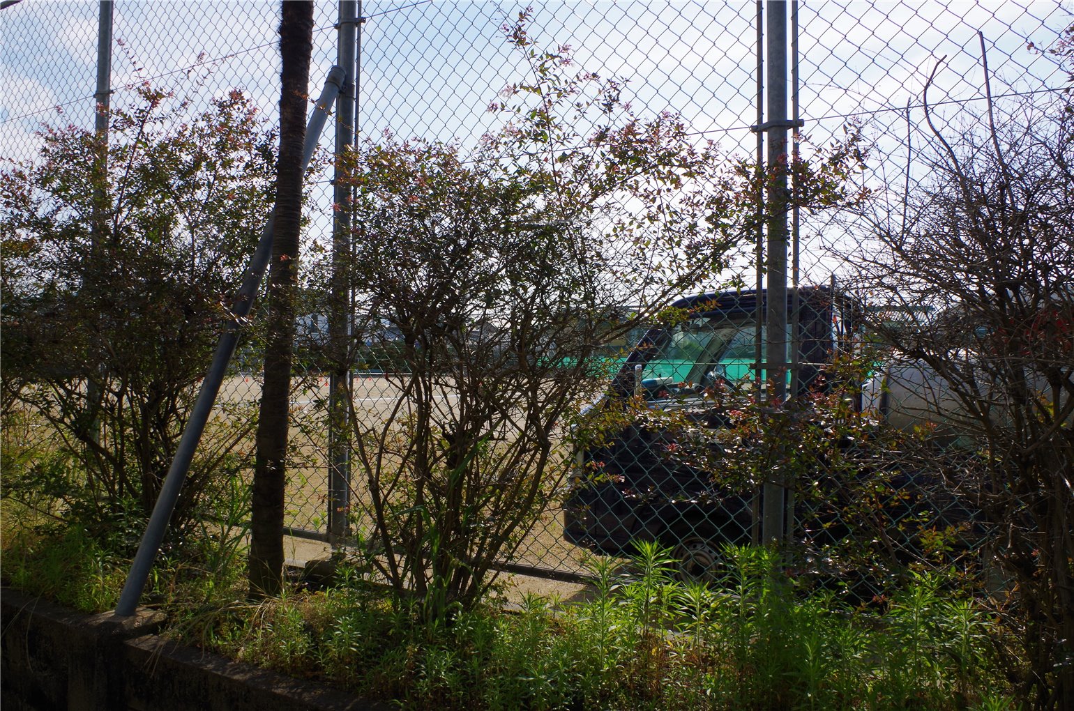08_6の画像
