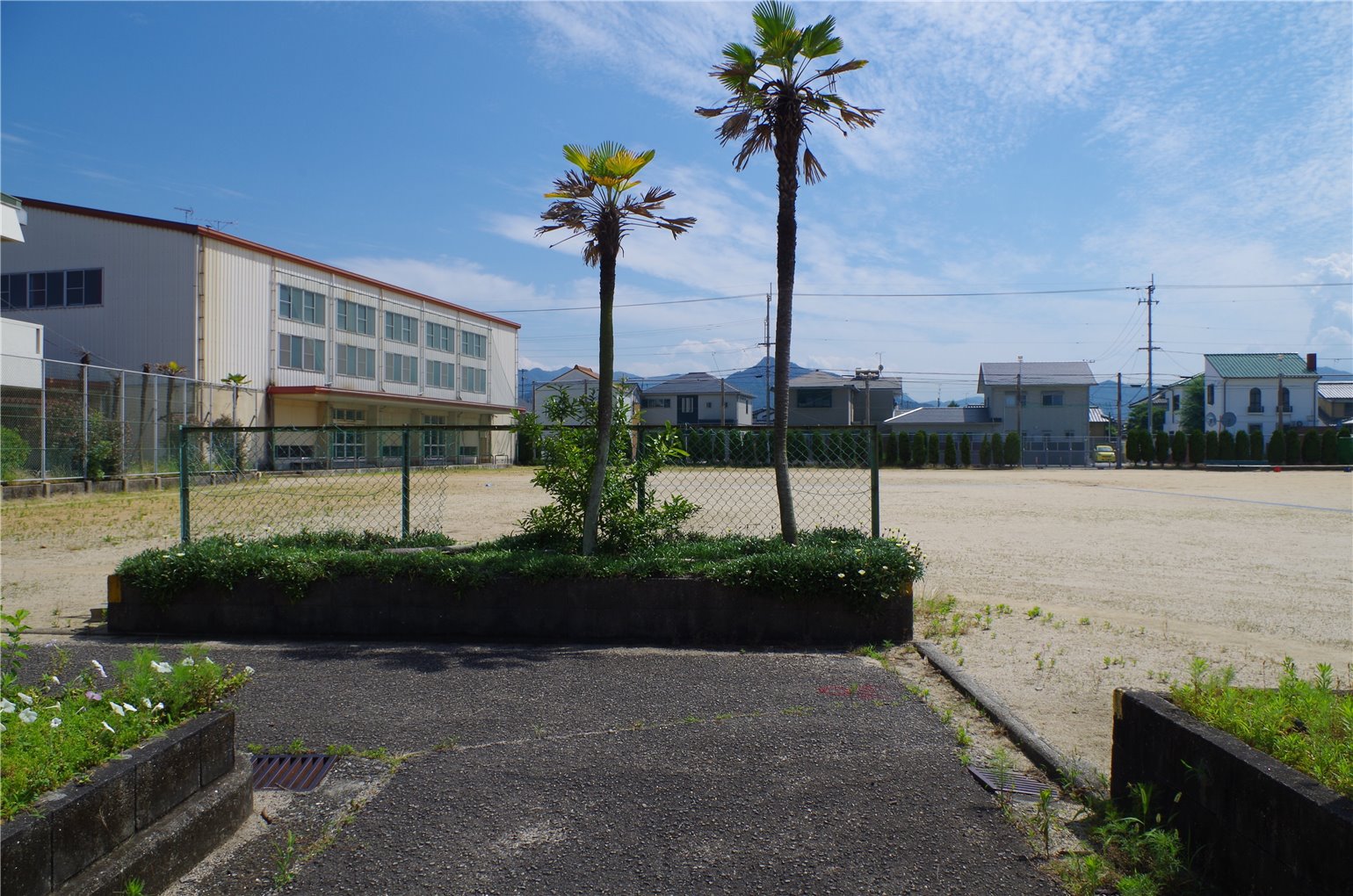 03_5の画像