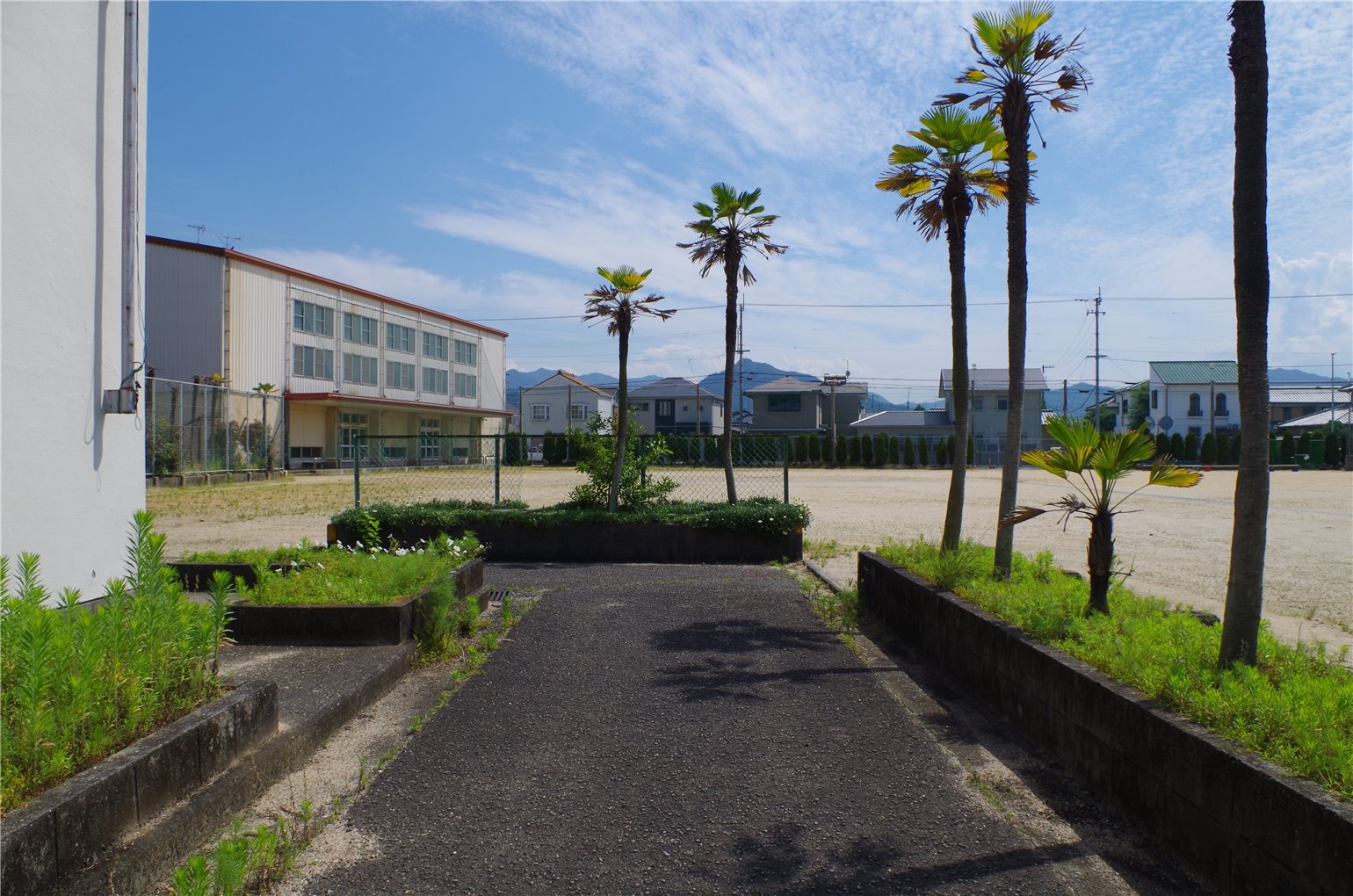 05_5の画像
