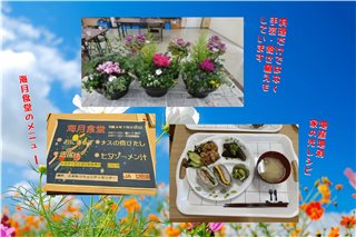 写真11