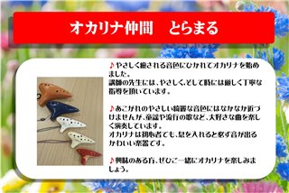 写真14
