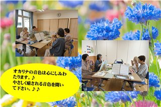 写真15