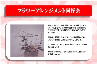 写真17