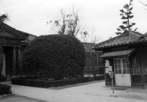 三本松高校