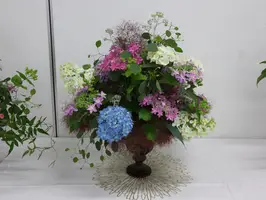 水口 栄