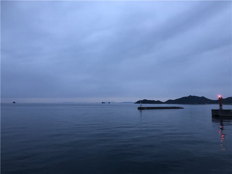 29の画像