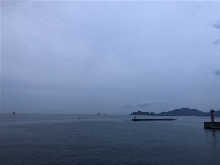 14の画像