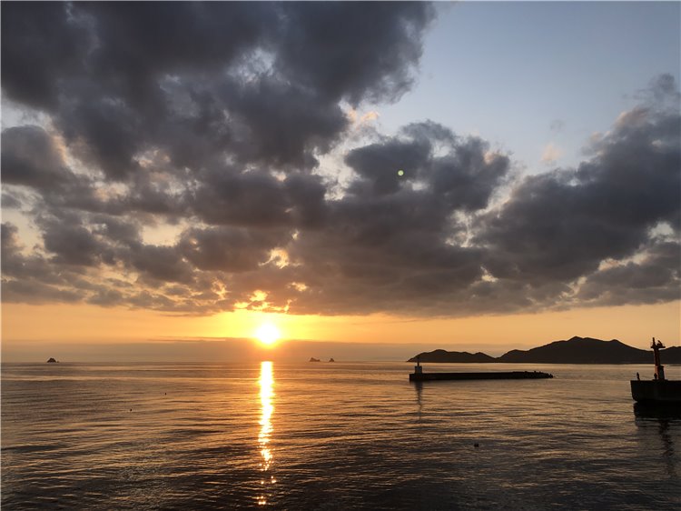 16の画像