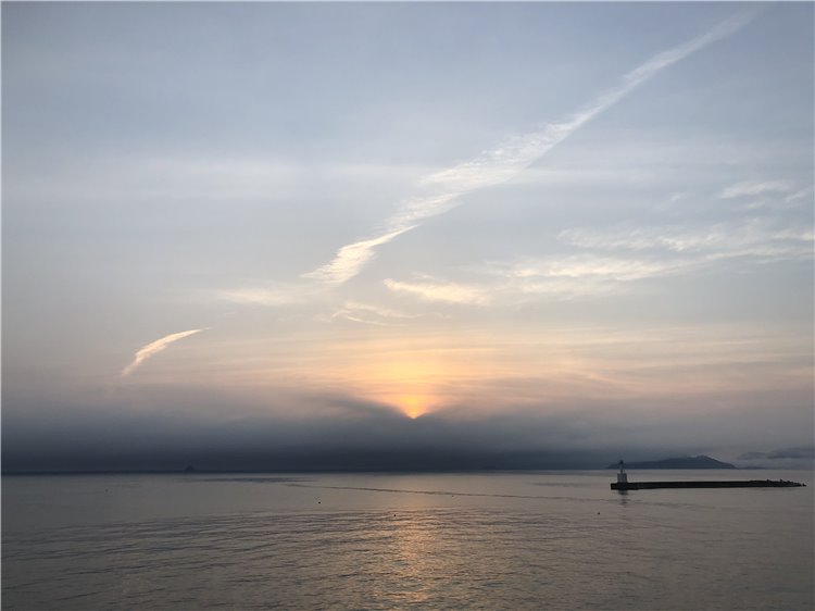 26の画像
