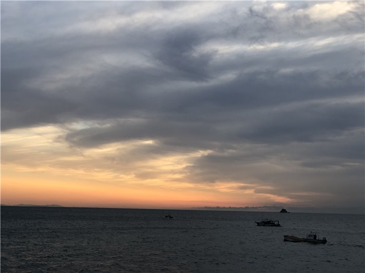 29の画像