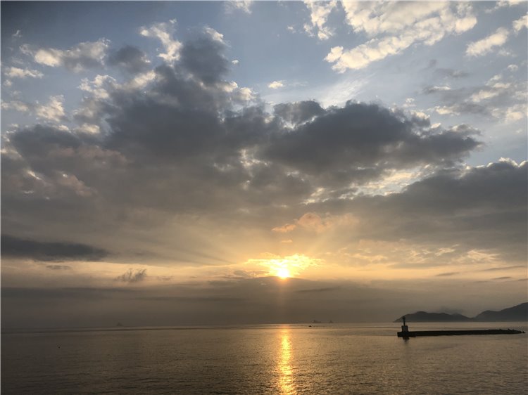23の画像