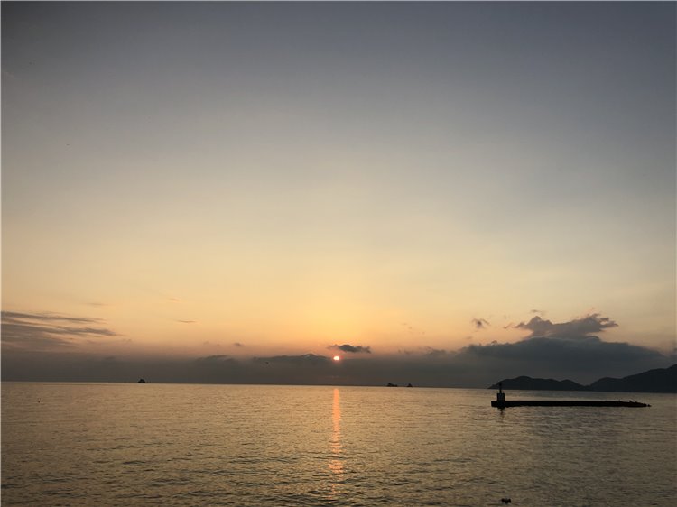 26の画像