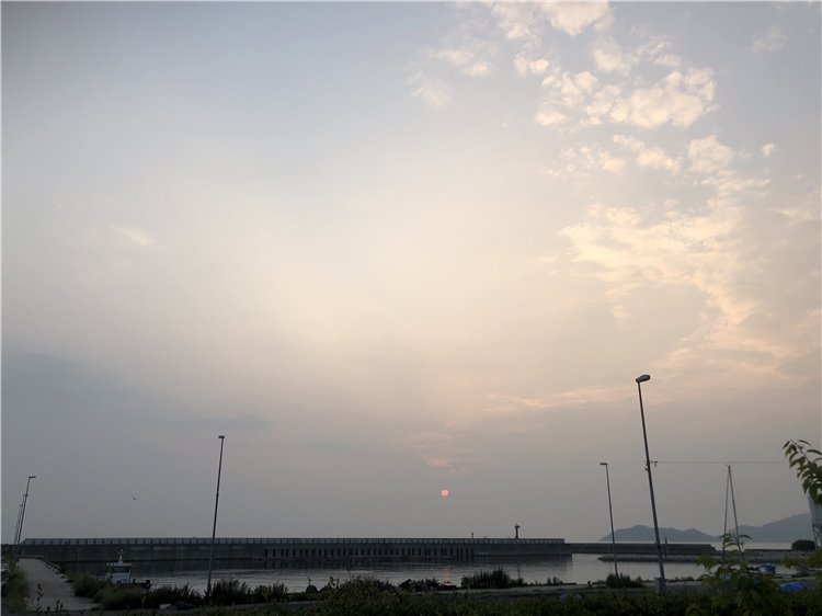 28の画像