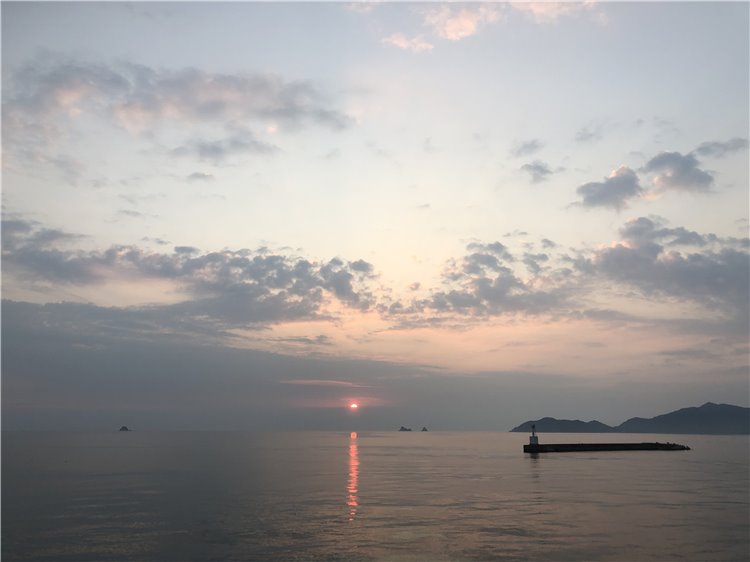 31の画像