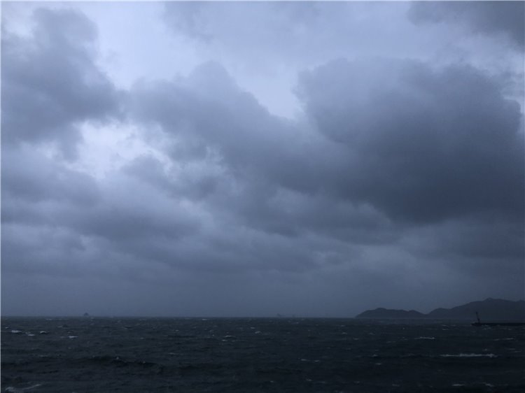 15の画像
