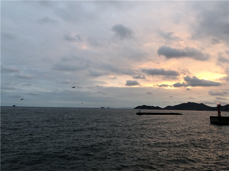 21の画像