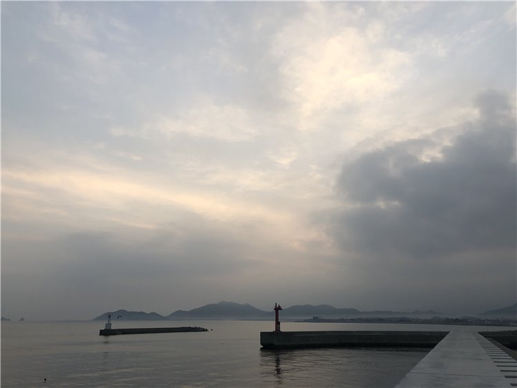 11の画像