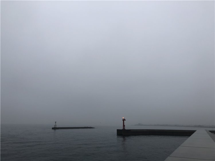 16日の画像